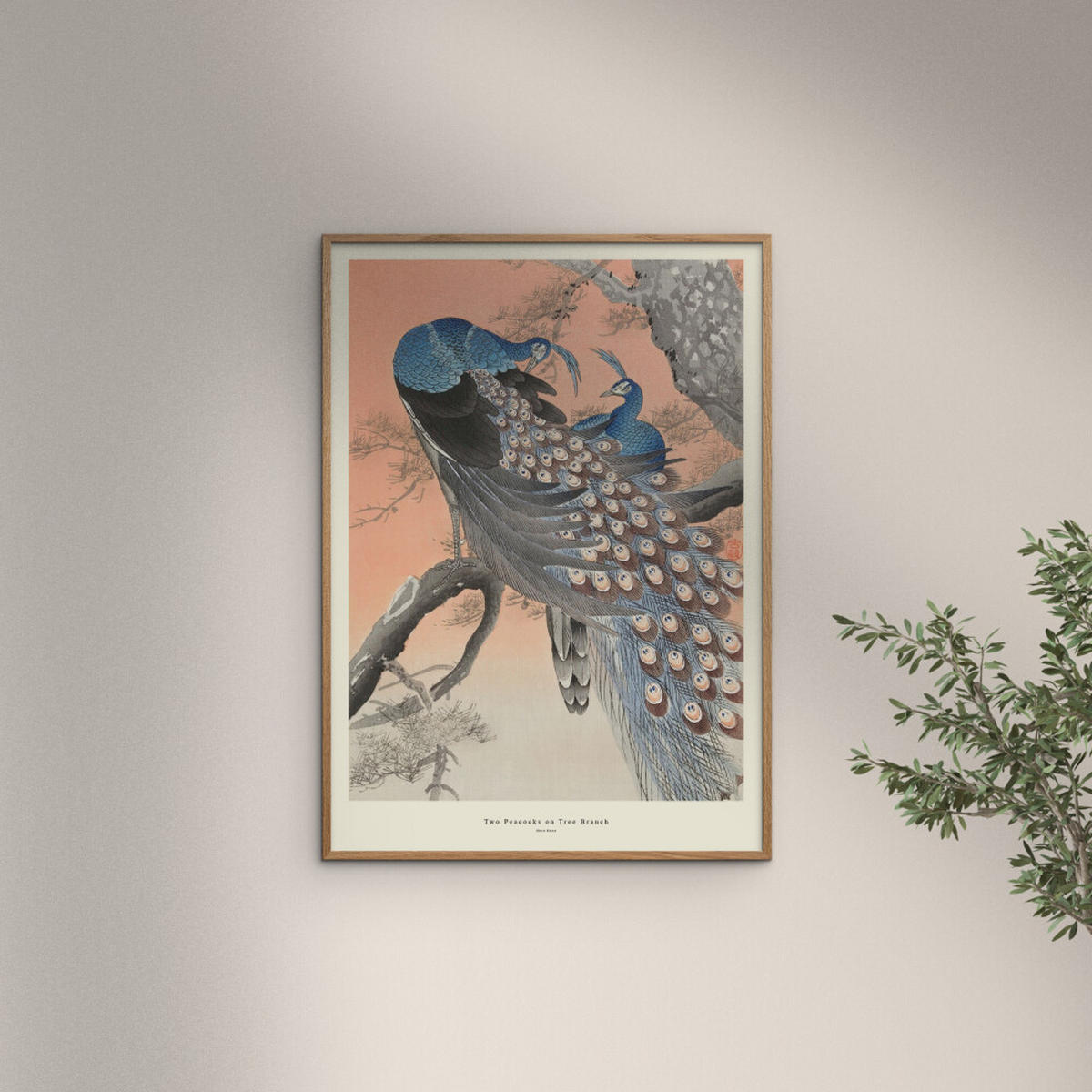 POSTER mit Rahmen A.P. Atelier - Two Peacocks on Tree Branch - Eichefarben/Multicolor, Holz/Papier (30/40cm) - Poster&Frame