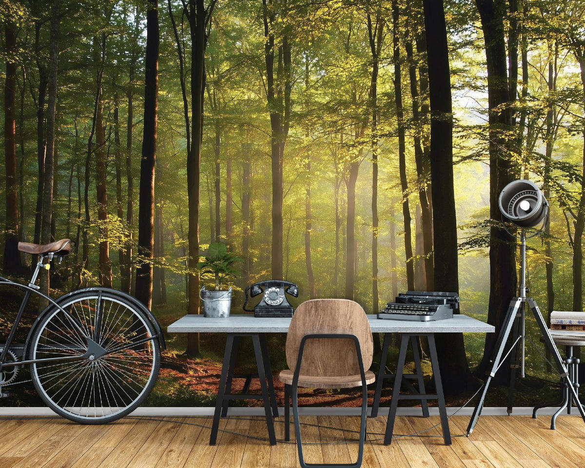 FOTOTAPETE Wald Bäume Grün 350x250 cm - Multicolor, Papier (350/250cm) - Wallarena