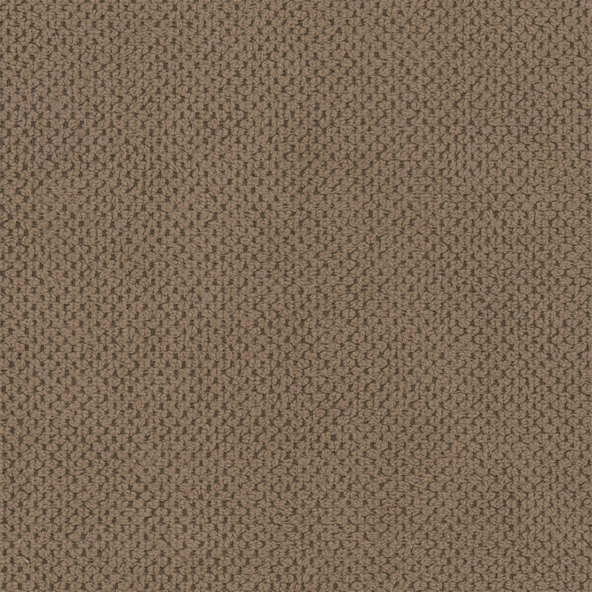 ECKSOFA Alessio 3 Sitzplätze Taupe - Taupe, Holz (229/148cm) - Petits-meubles