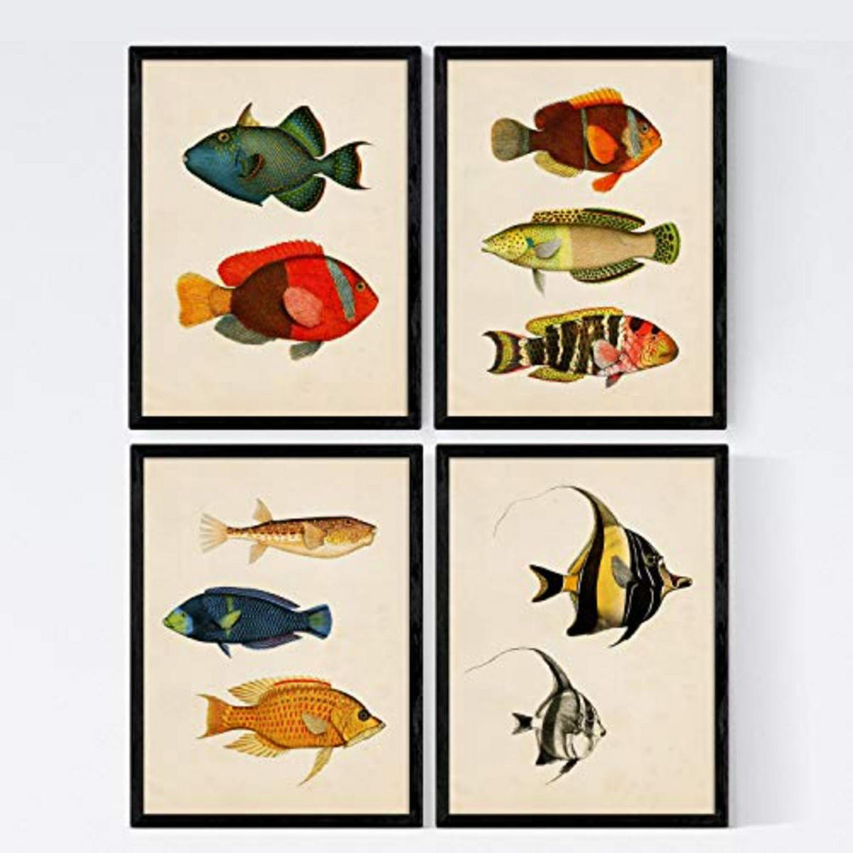 POSTER Set mit 4 Balearen 10 verschiedenen Fischen A4 Rahmenlos - Klar, Papier (29.7/3cm) - Nacnic