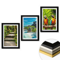 WANDBILDER 3er-Set - 20x30 cm Schwarzer Rahmen - Tropischer Wald Papageienwasserfall - Schwarz, Kunststoff (20/30cm) - ArtPrintCave