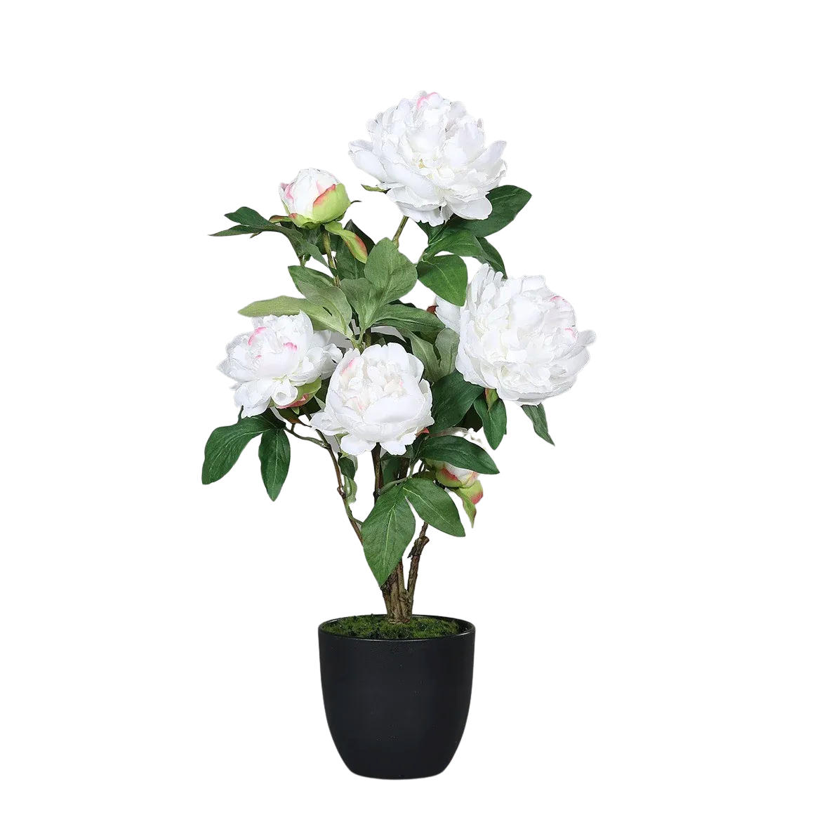 PFINGSTROSEN Künstliche Pfingstrose - Diletta 57 cm - Creme, Kunststoff (57cm) - aplanta