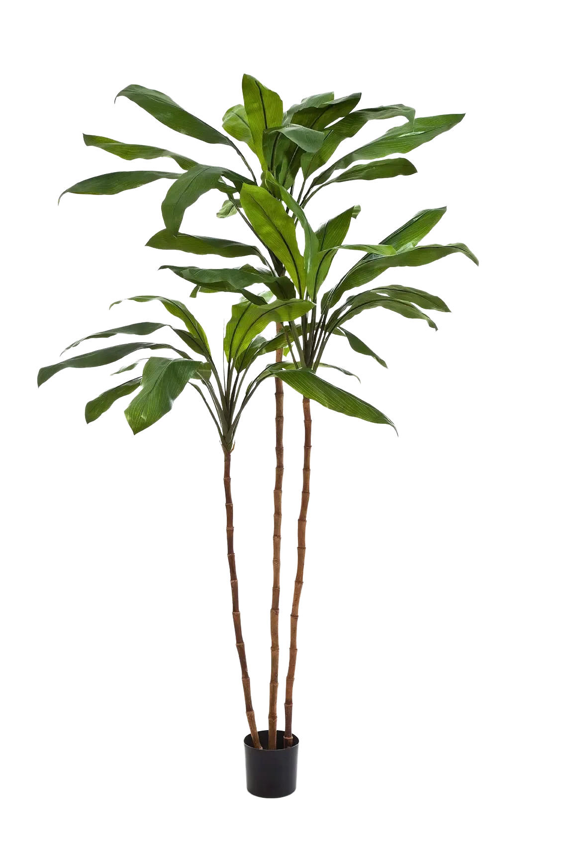 KUNSTBAUM Künstliche Lilie - Isabell 240 cm - Grün, Kunststoff (240cm) - aplanta