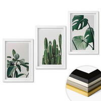 WANDBILDER 3er-Set - 20x30 cm Weißer Rahmen - Tropische ästhetische Pflanzen - Weiß, Kunststoff (20/30cm) - ArtPrintCave