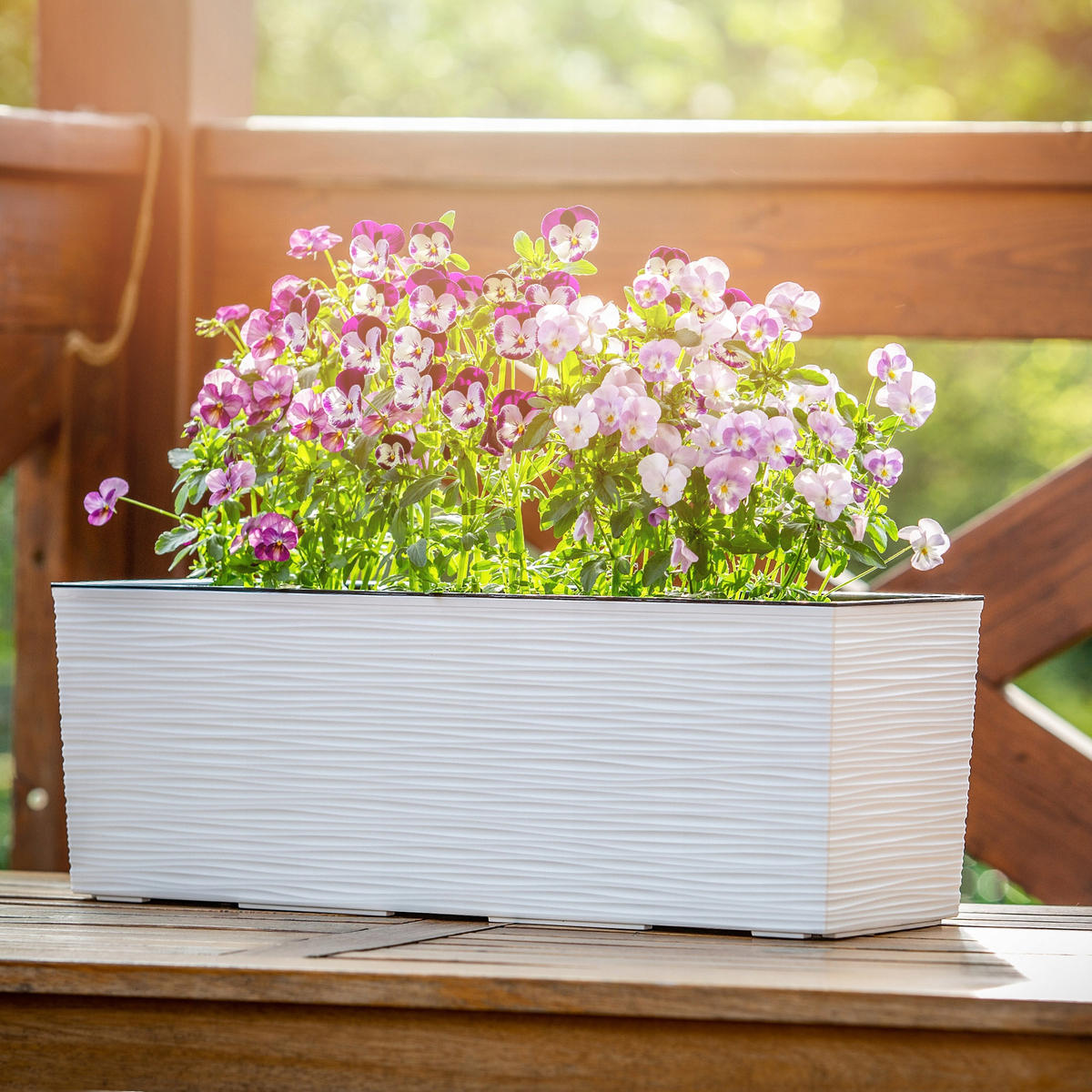 BALKONBLUMENTOPF mit Einsatz 56 cm, Weiß - Weiß, Kunststoff (18/56cm) - KADAX