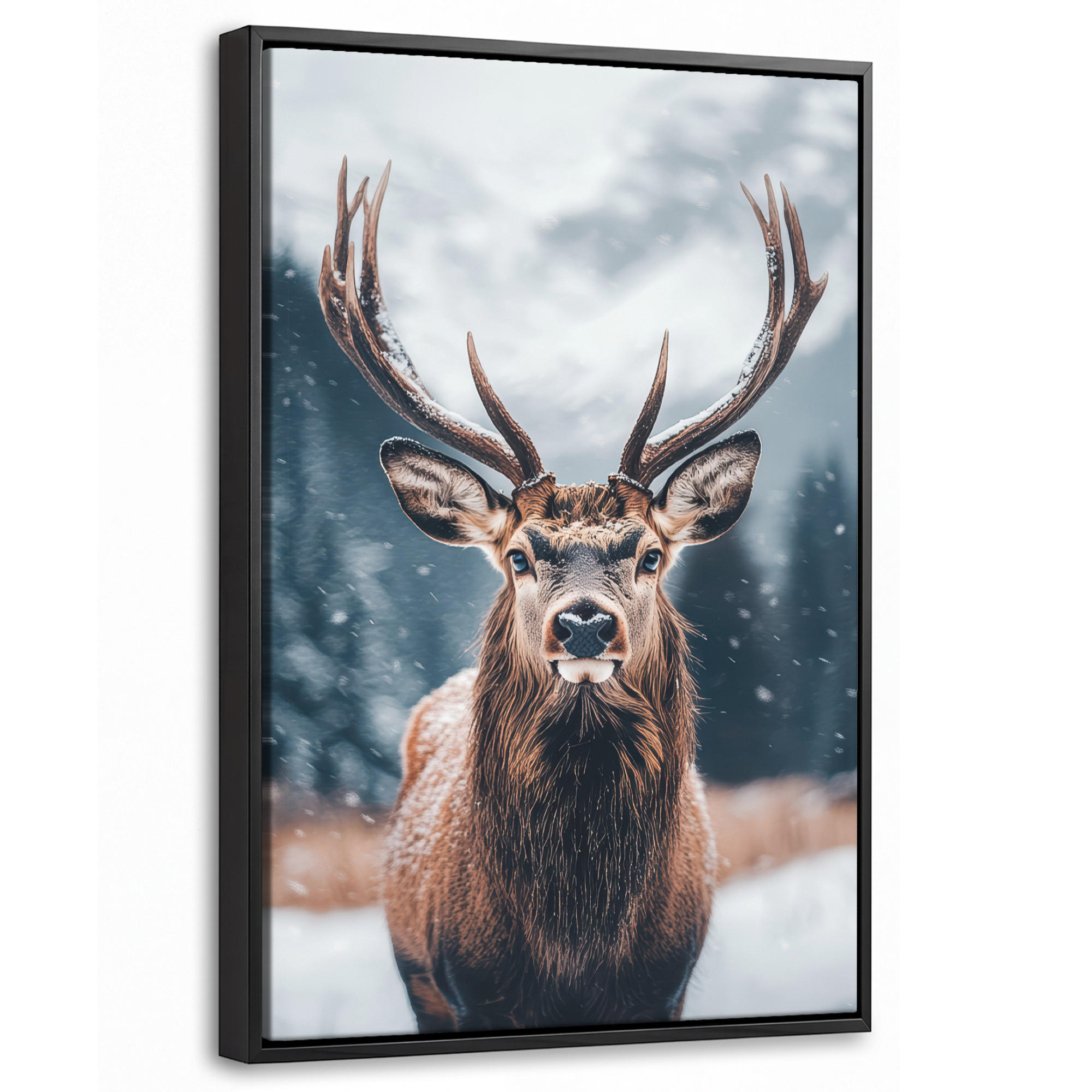 MuchoWow Leinwand Kastanien 40x60 cm