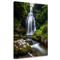 LEINWANDBILD Landschaft Wasserfall Bäume Natur 80x120cm - Grün, Textil (80/120cm) - Feeby