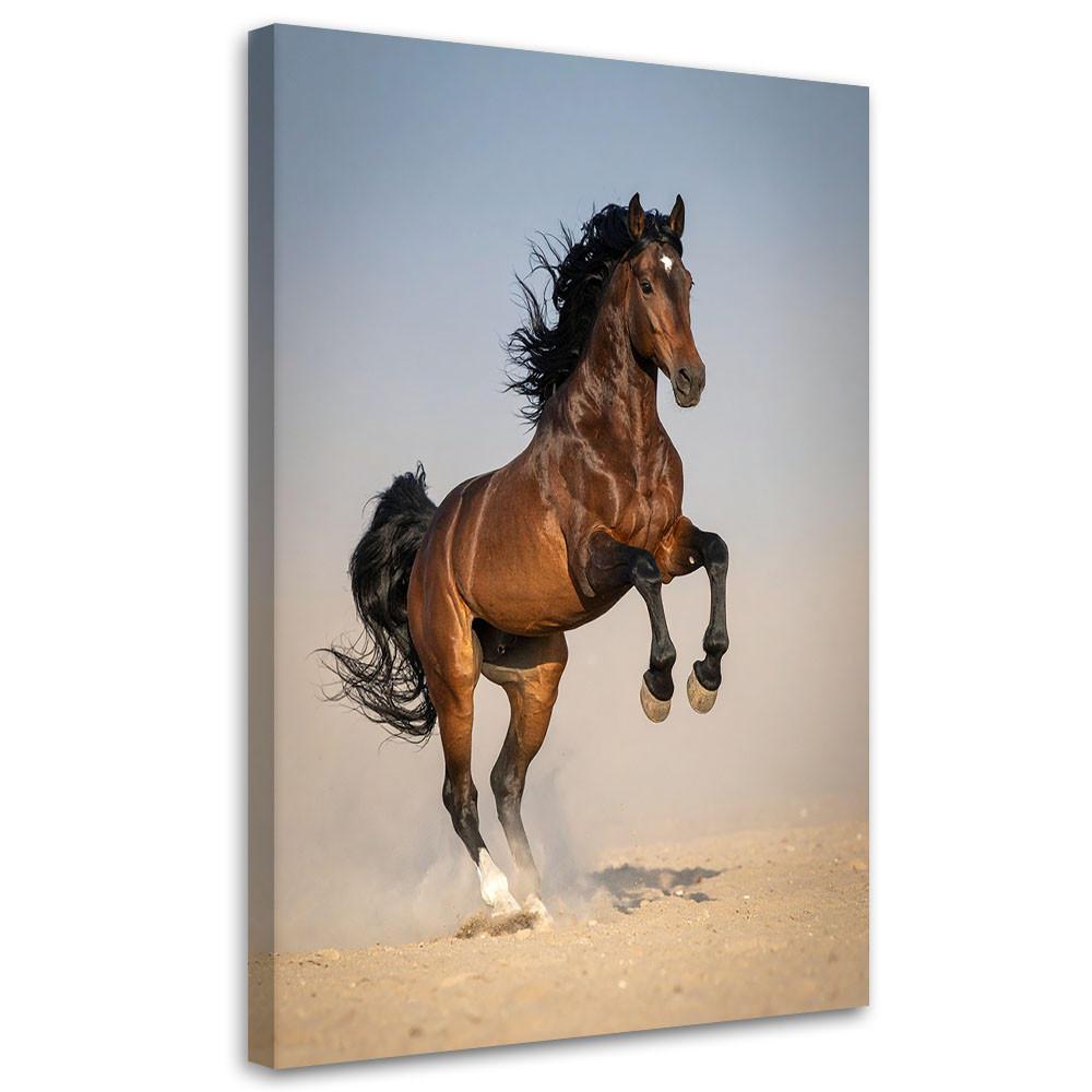 Feeby Bild Braun 40x60 cm