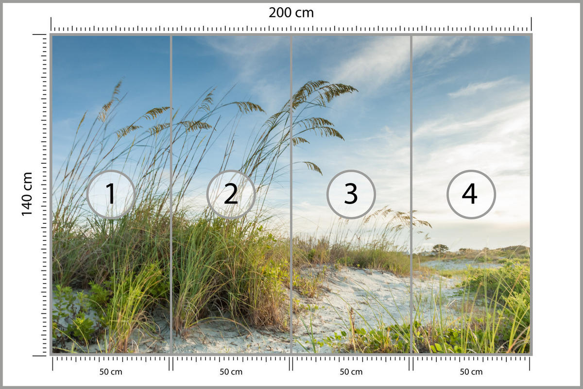 FOTOTAPETE für Schlafzimmer Dünen Pflanzen Strand Gras 200x140 - Blau/Beige, Papier (200/140cm) - Muralo