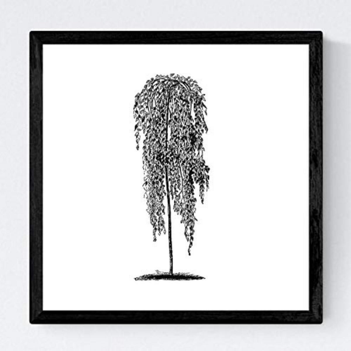 POSTER Set mit 4 Blättern der Bäume unterschiedlicher Blätter weiß 20x20cm Rahmenlos - Klar, Papier (20/3cm) - Nacnic