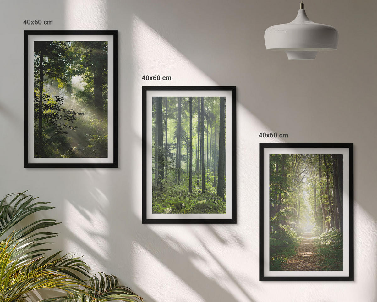 BILDER SET 3er Set - 40x60 cm Schwarzer Rahmen - Grüne Wälder mit Lichtstrahlen - Schwarz, Kunststoff (40/60cm) - TULUP