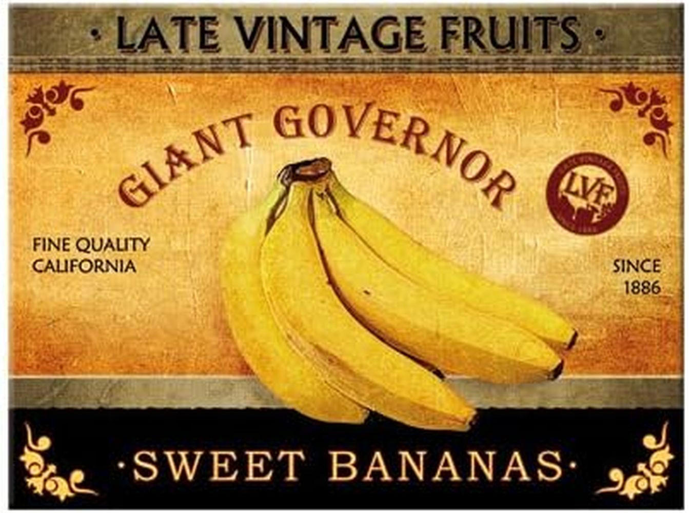 MAGNET 6/8 cm Sweet Bananas - Multicolor, Metall (8/6/0.1cm) - Nostalgic-Art