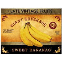 MAGNET 6/8 cm Sweet Bananas - Multicolor, Metall (8/6/0.1cm) - Nostalgic-Art