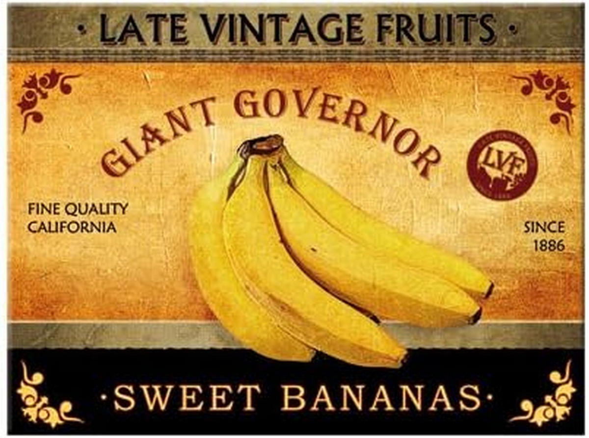 MAGNET 6/8 cm Sweet Bananas - Multicolor, Metall (8/6/0.1cm) - Nostalgic-Art