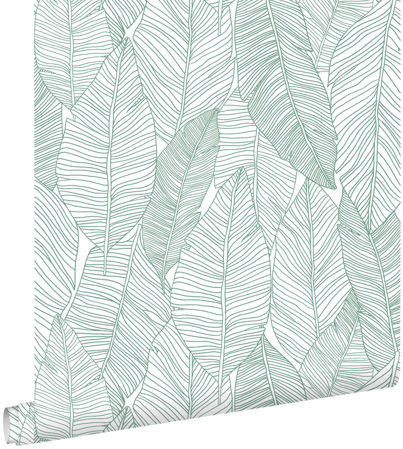 TAPETE gezeichnete Blätter 53 cm x 10.05 m - Grün, Papier (53/1000cm) - ESTAhome