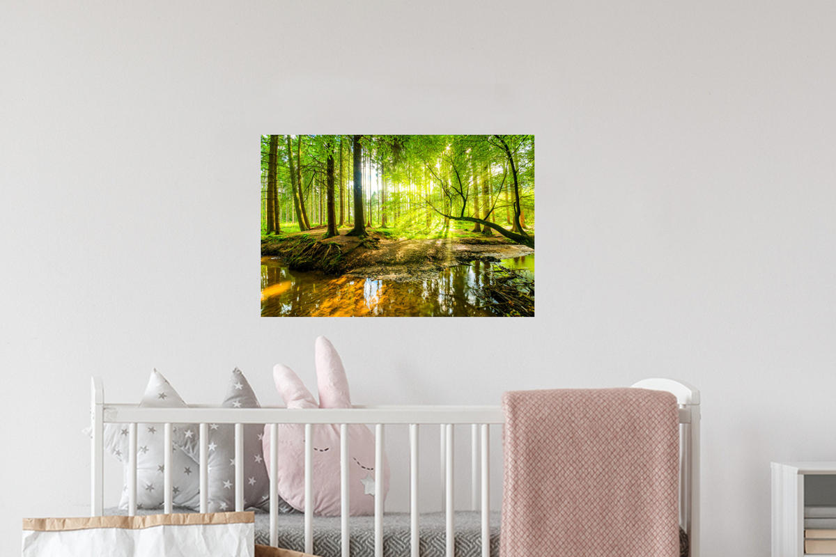 WANDTATTOO Wald - Landschaft - Wasser - Bäume - Sonne - Grün - Natur 60x40 cm - Grün, Kunststoff (60/40/0.1cm) - MuchoWow