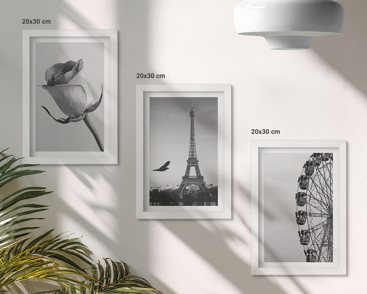 WANDBILDER 3er-Set - 20x30 cm Weißer Rahmen - Rose Eiffelturm Riesenrad - Weiß, Kunststoff (20/30cm) - ArtPrintCave