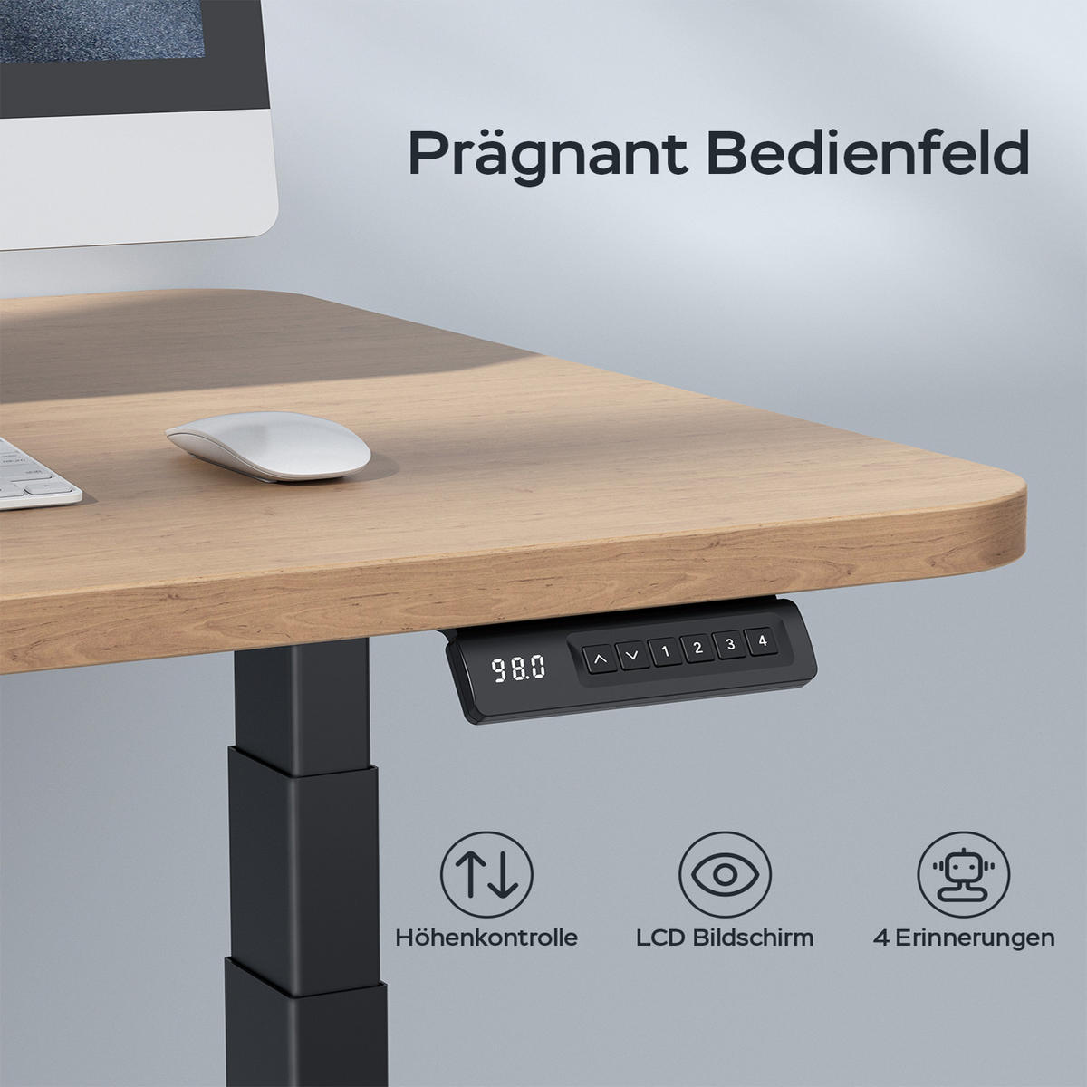 SCHREIBTISCH-GESTELL DE-37154 elektrisch höhenverstellbar mit Dual-Motor und LED Schwarz - Schwarz, Metall (150/57.5/127cm) - ComfortXL