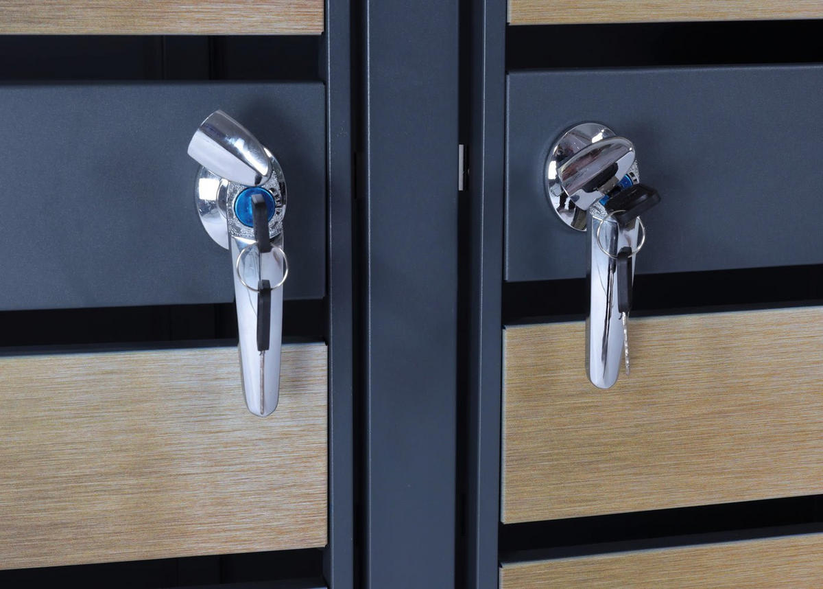 MÜLLTONNENBOX 3er 117x200x80cm Anthrazit Gold - Goldfarben, Metall (200/117/80cm) - PROREGAL