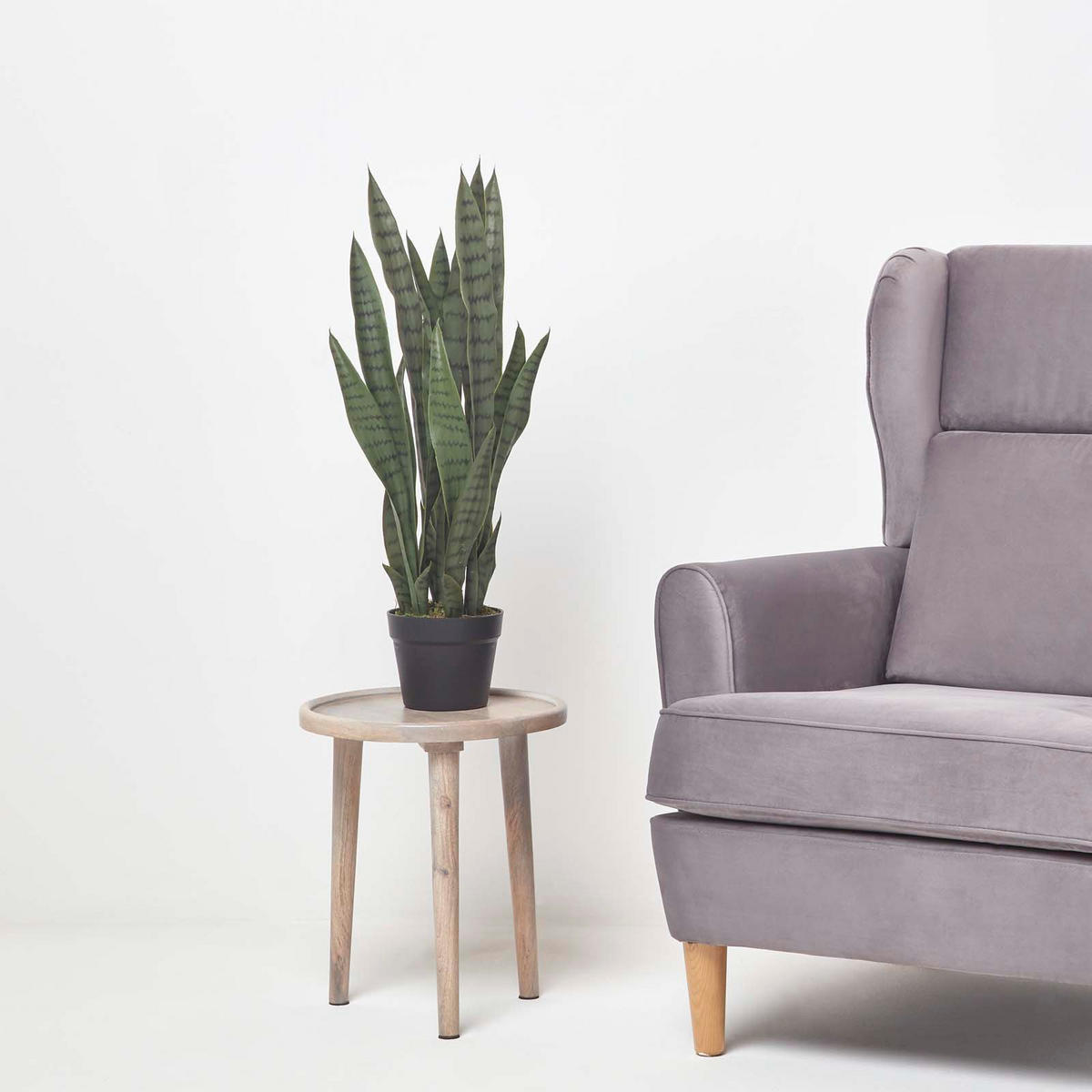 KUNSTPFLANZE Bogenhanf grün, 74 cm - Waldgrün, Kunststoff (74cm) - Homescapes