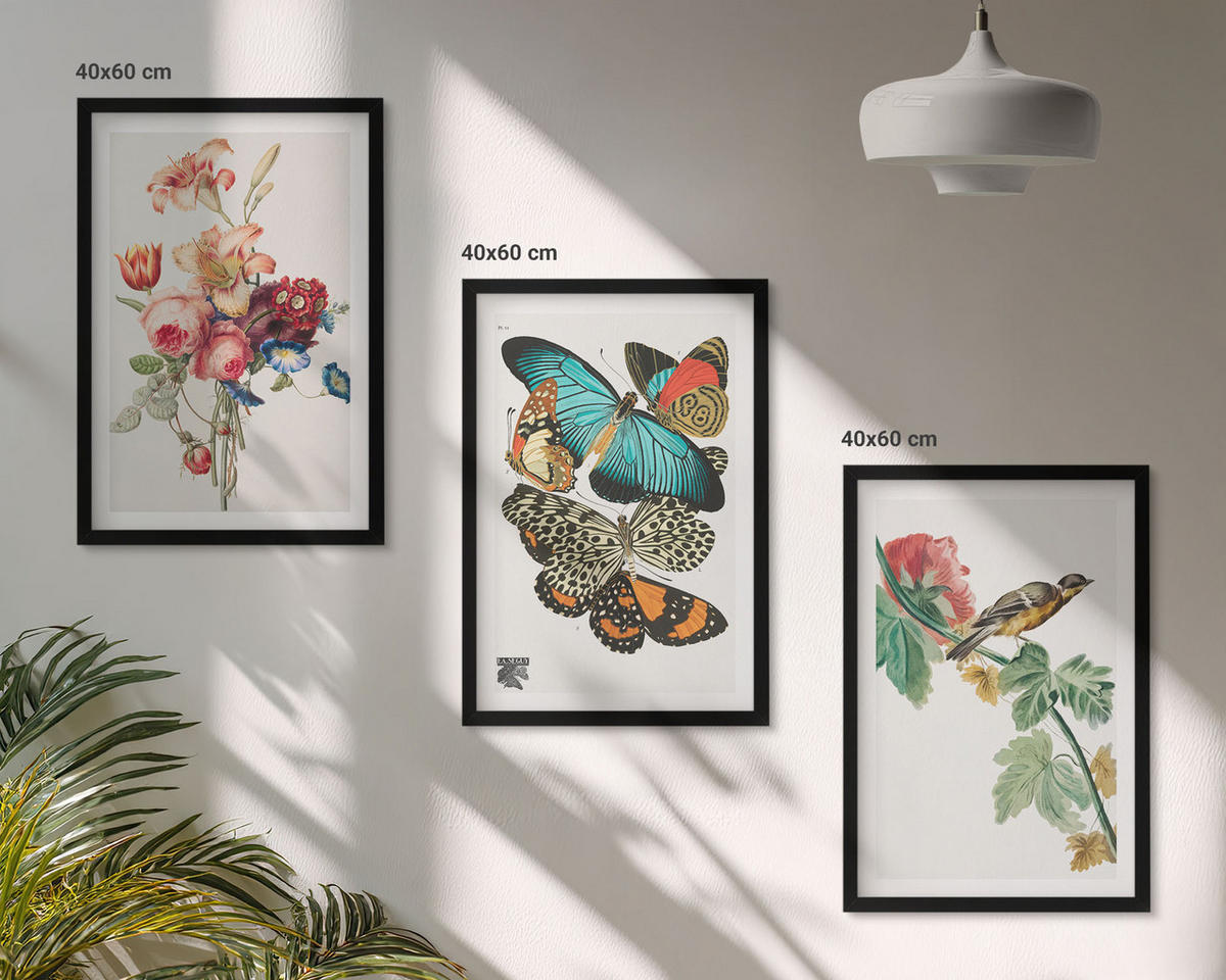BILDER SET 3er Set - 40x60 cm Schwarzer Rahmen - Blumen, Schmetterlinge, Vögel, Pastellfarben - Schwarz, Kunststoff (40/60cm) - TULUP