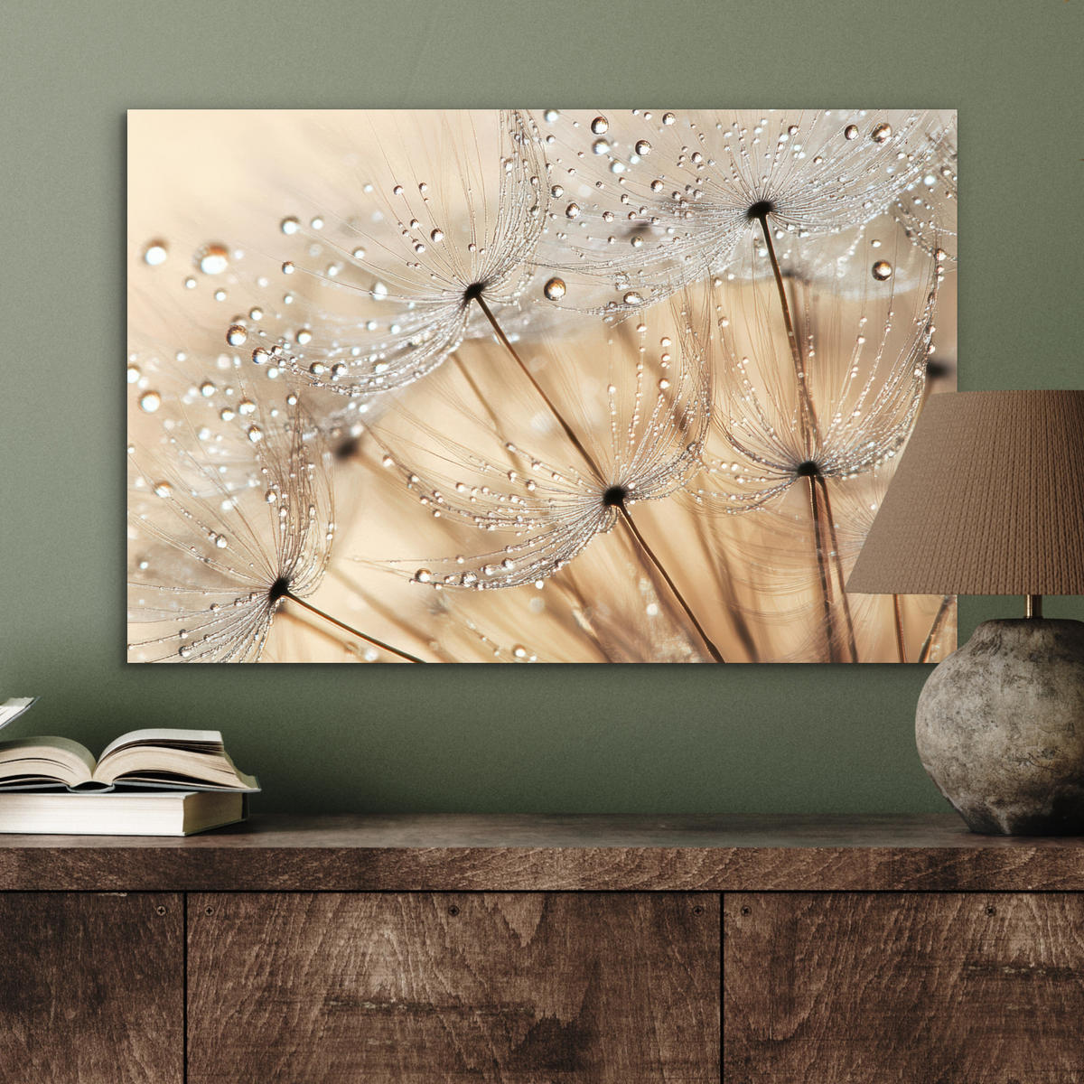 METALLBILD Löwenzahn - Abstrakt - Natur - Beige 60x40 cm - Braun, Metall (60/40cm) - MuchoWow