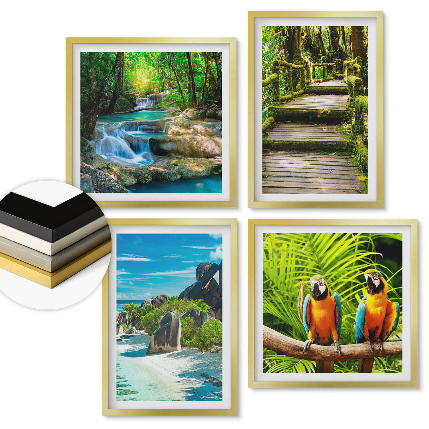 WANDBILDER 4er Set - 50x50 cm & 40x60 cm Goldrahmen - Tropischer Wald Papageienwasserfall - Goldfarben, Kunststoff (50/50cm) - ArtPrintCave