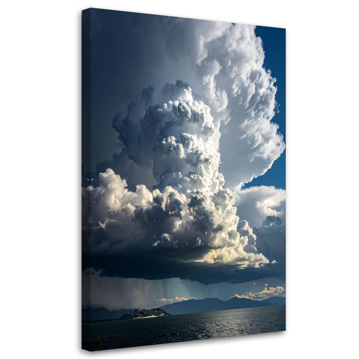 LEINWANDBILD Natur und Botanik 60x90cm - Blau, Textil (60/90cm) - Feeby