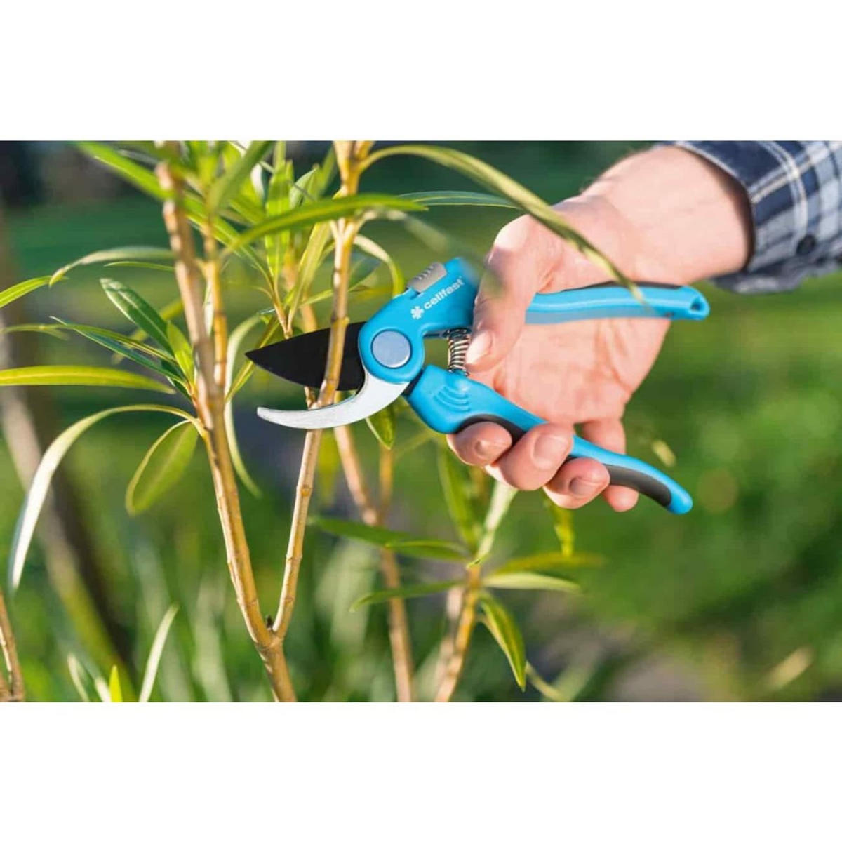 BYPASS-GARTENSCHERE ERGO, Einhand, Rosenschere - Blau, Kunststoff (20/10/20cm) - BONI-SHOP