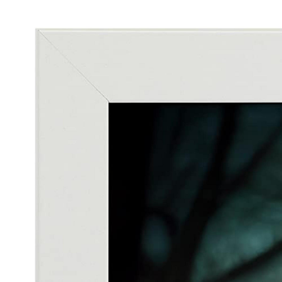 POSTER Set mit 4 Hunde im T Burton Goth Stil A4 Weißer Rahmen - Weiß, Papier (29.7/3cm) - Nacnic