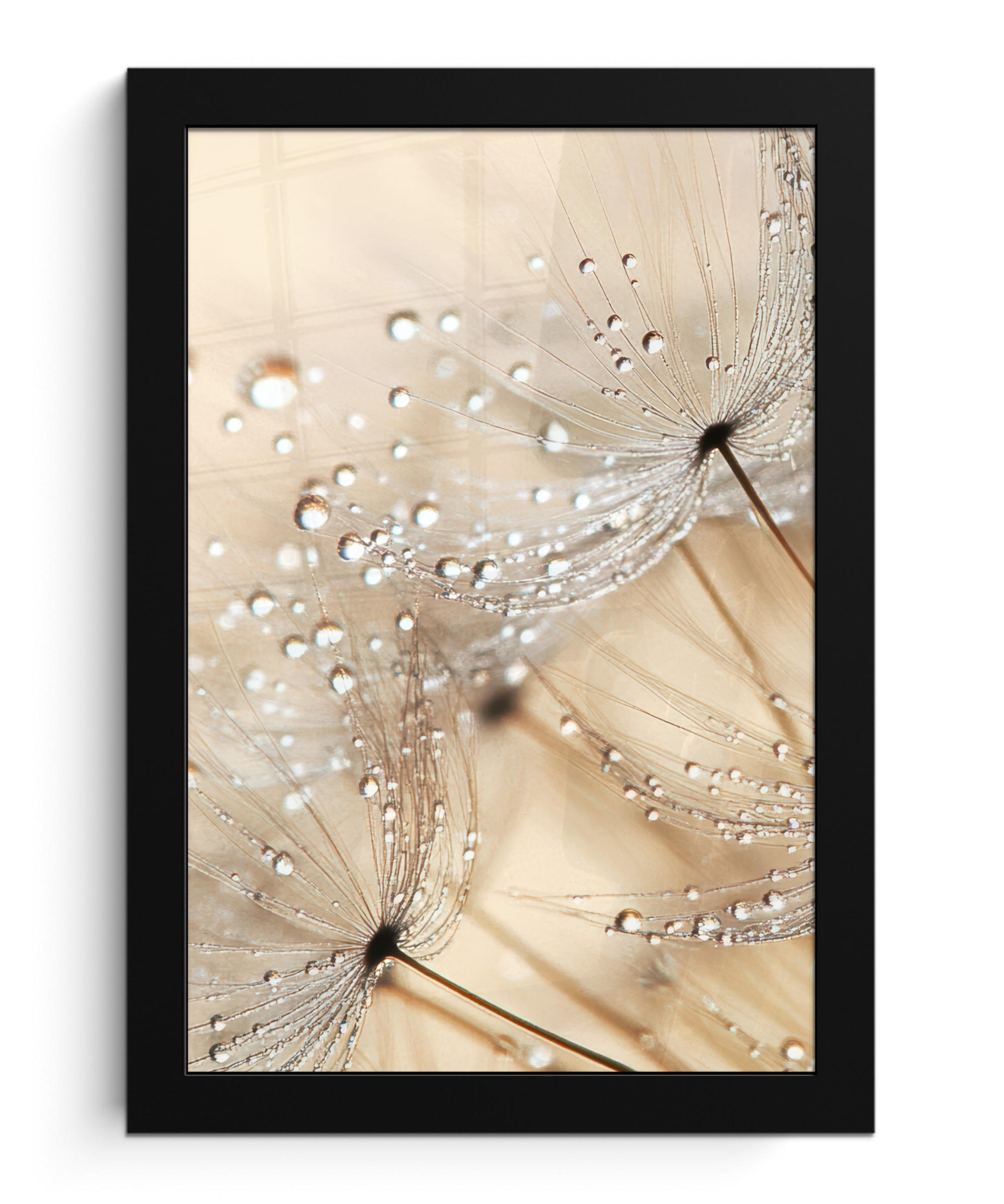 GERAHMTES BILD Löwenzahn - Abstrakt - Natur - Beige 20x30 cm - Braun, Papier (20/30cm) - MuchoWow