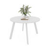 TISCH Weiße Beine, MDF Tischplatte, Arktisches Weiß - Weiß, Holzwerkstoff (100/100/76cm) - Idohome