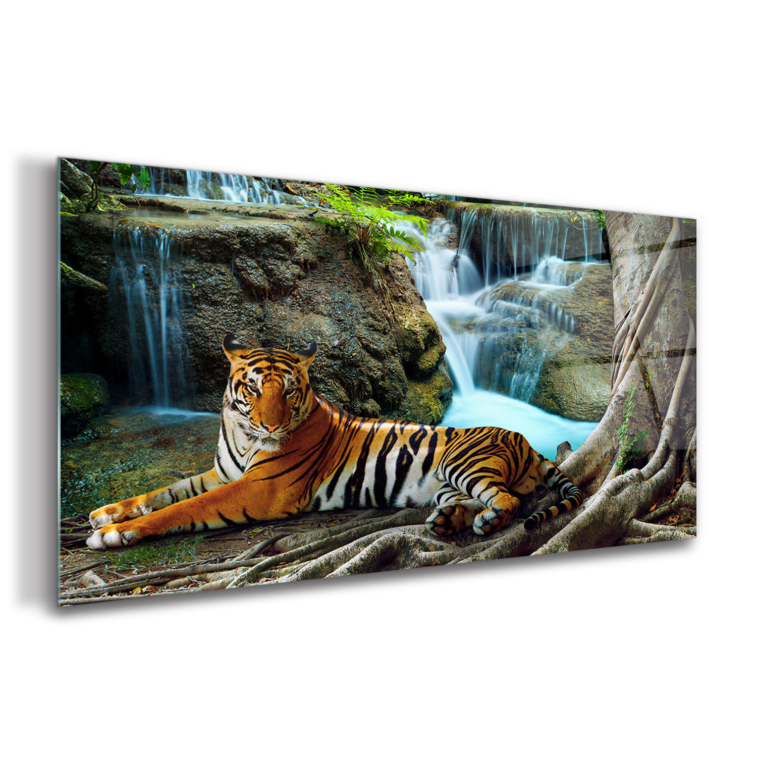 GLASBILD 120x60 cm Dschungelwasserfall - Naturfarben, Glas (120/60cm) - TULUP