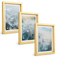 BILDER SET 3er Set - 20x30 cm Goldrahmen - Tautropfen auf Löwenzahn - Goldfarben, Kunststoff (20/30cm) - TULUP