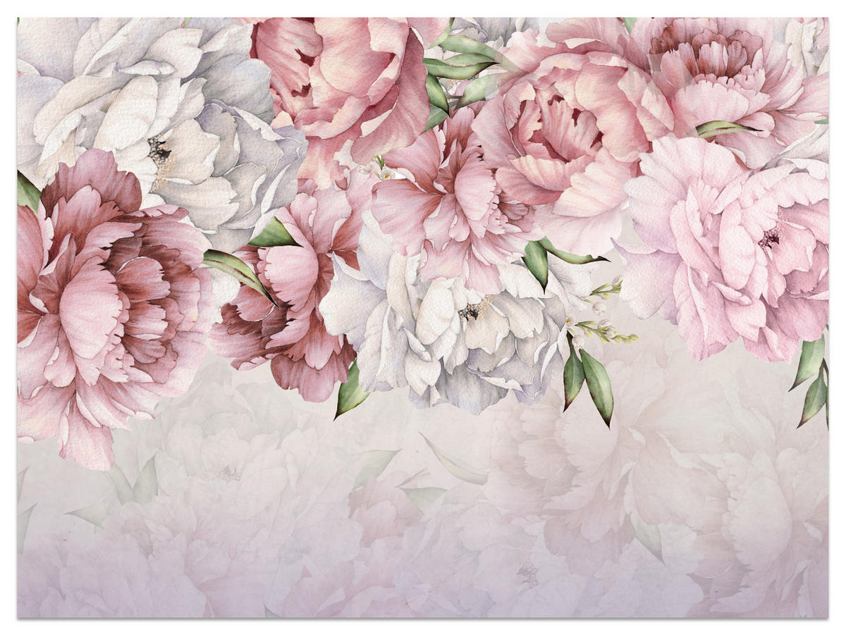 FOTOTAPETE für Schlafzimmer Rosa Zarte Pfingstrosen Natur 100x70 - Violett/Rosa, Papier (100/70cm) - Muralo