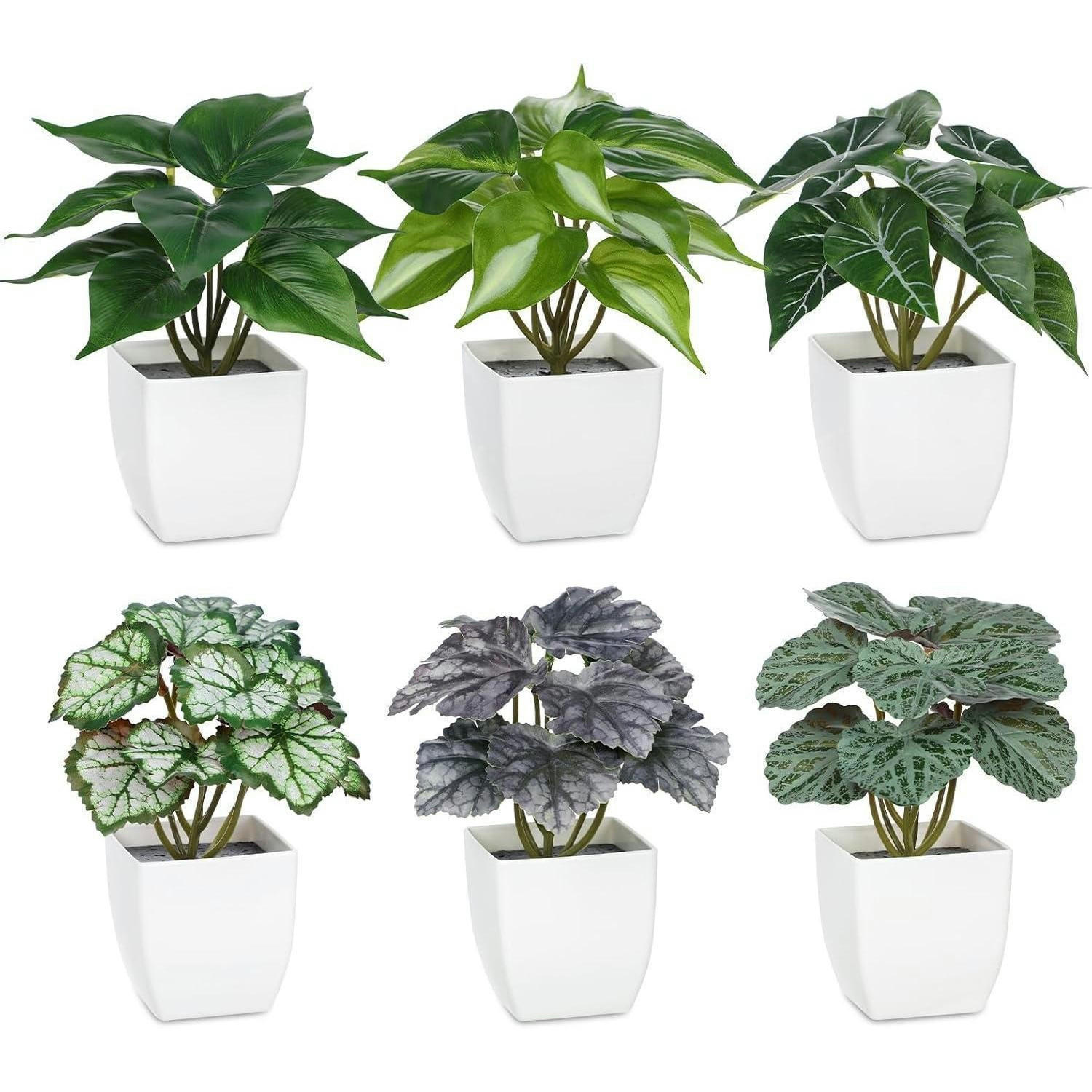 KUNSTPFLANZEN 6er Set im weißen Topf Höhe 15 cm - Multicolor, Kunststoff (15cm)