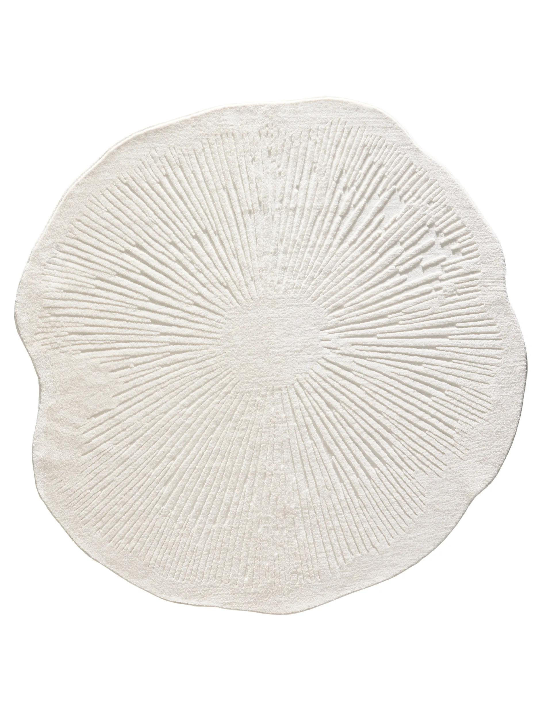 TEPPICH Pam waschbar Cream ø 160 cm rund - Creme, Kunststoff/Textil (160/160cm) - benuta