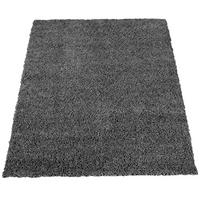 HOCHFLORTEPPICH 120/170 cm Trip 450 - Anthrazit, Textil (120/170cm) - Paco Home