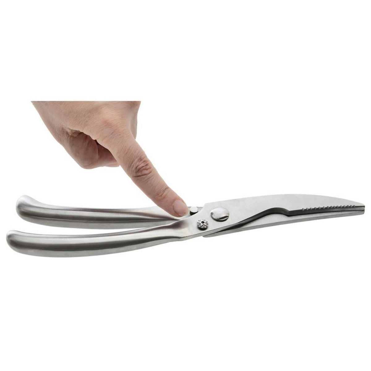 GEFLÜGELSCHERE Silber - Silberfarben, Metall (25cm) - Orion 