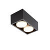 LED-DECKENLEUCHTE Harmonie 2-flammig 20/10/8 cm - Schwarz, Metall (20/10/8cm) - Nettlife