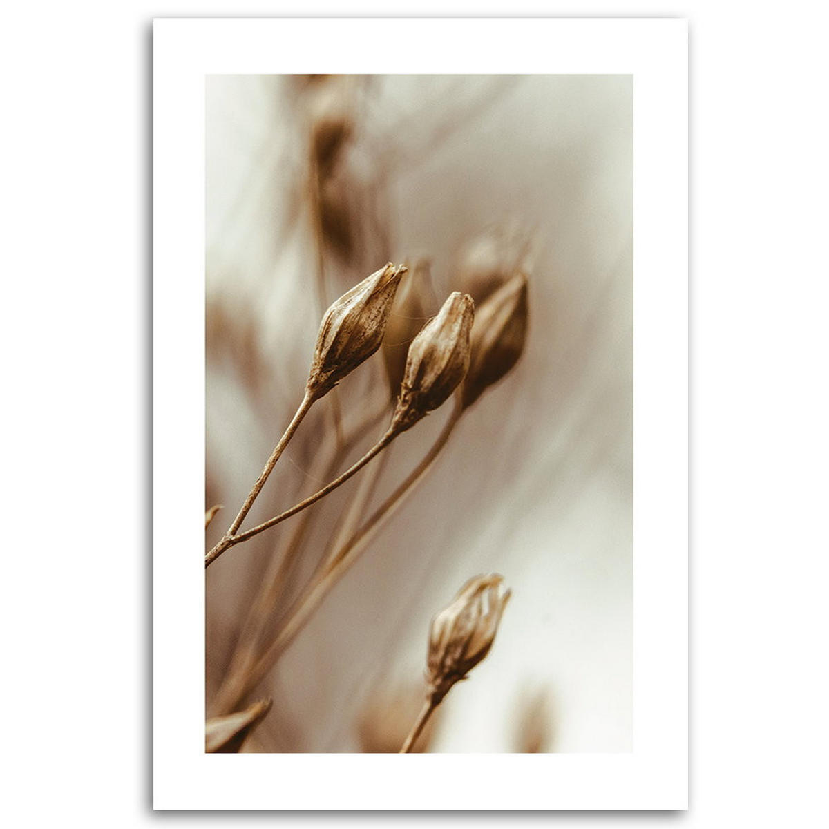 KUNSTDRUCK Beige 40/60 cm - Beige, Textil (40/60cm) - KUNSTLOFT