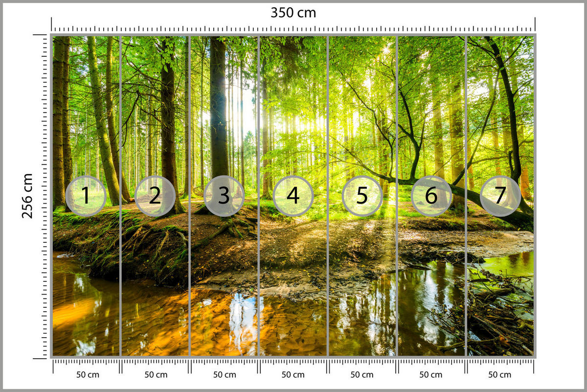 FOTOTAPETE für Wohnzimmer Waldlandschaft Bäume Blätter Frühling Grün 350x256 - Gelb/Orange, Papier (350/256cm) - Muralo