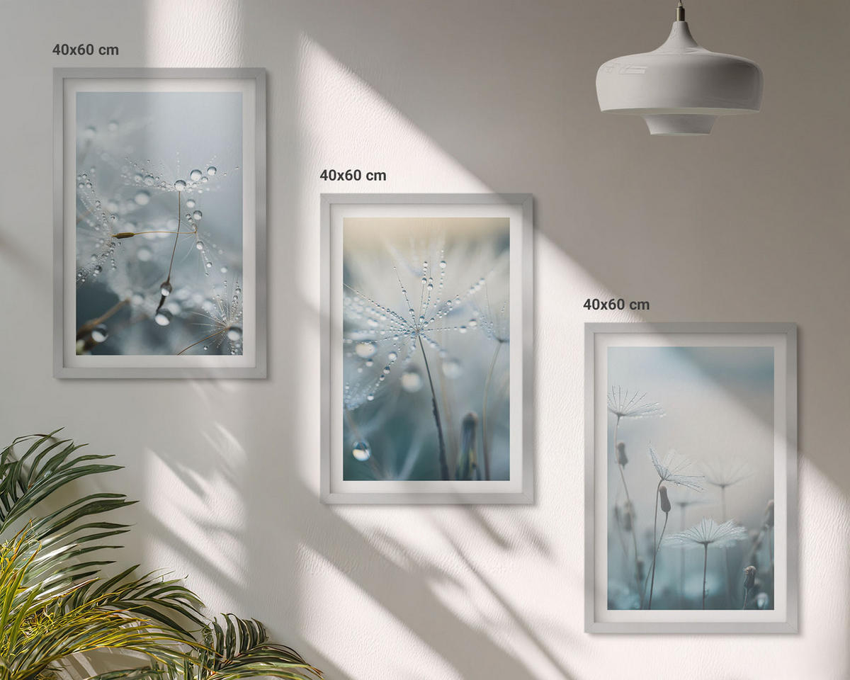BILDER SET 3er Set - 40x60 cm Silberner Rahmen - Tautropfen auf Löwenzahn - Silberfarben, Kunststoff (40/60cm) - TULUP