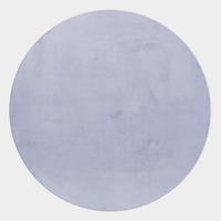 TEPPICH Wohnzimmer Einfarbig Pflegeleicht Waschbar OEKO-TEX Rund Silber 120x120 cm Flur – NECKAR - Silberfarben, Textil (120/120cm) - KADIMA DESIGN