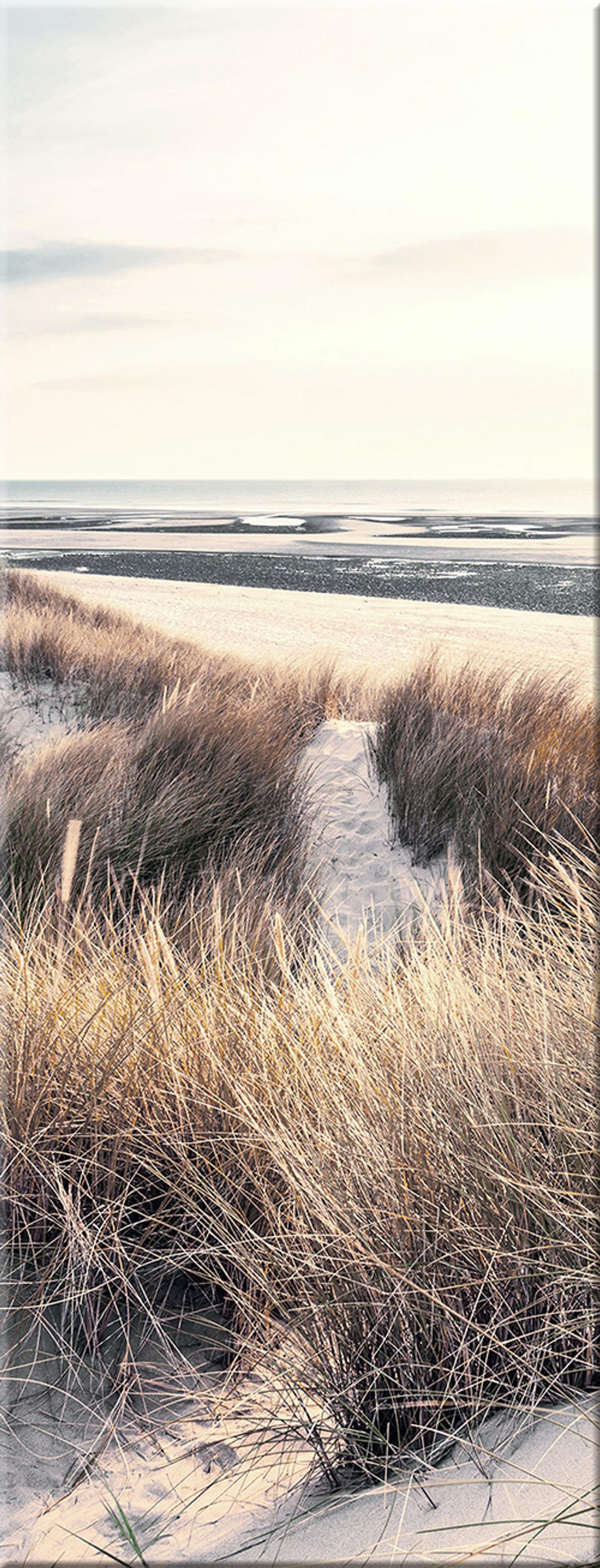 GLASBILD 30x80 cm Strand und Meer - Beige, Glas (30/80cm) - artissimo