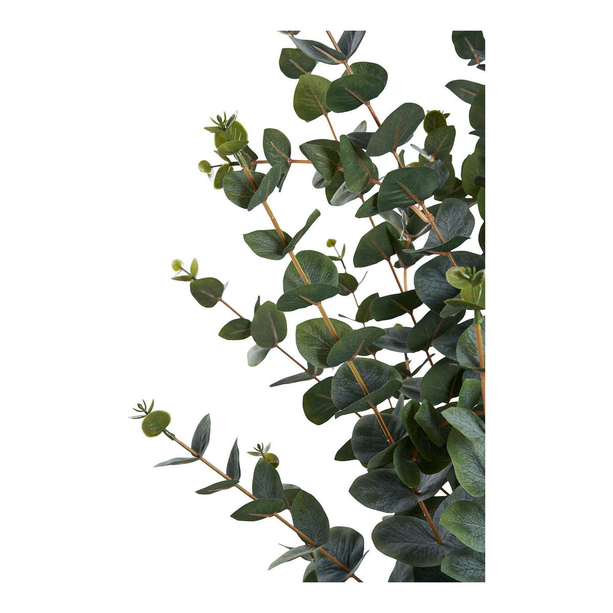 KÜNSTLICHER Eukalyptusbaum 120 cm Grün - Grün, Kunststoff (120cm) - tinkaro