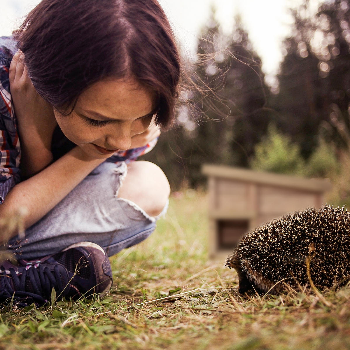 IGELHAUS - Hellbraun, Holz/Kunststoff (40/30/34cm) - Relaxdays