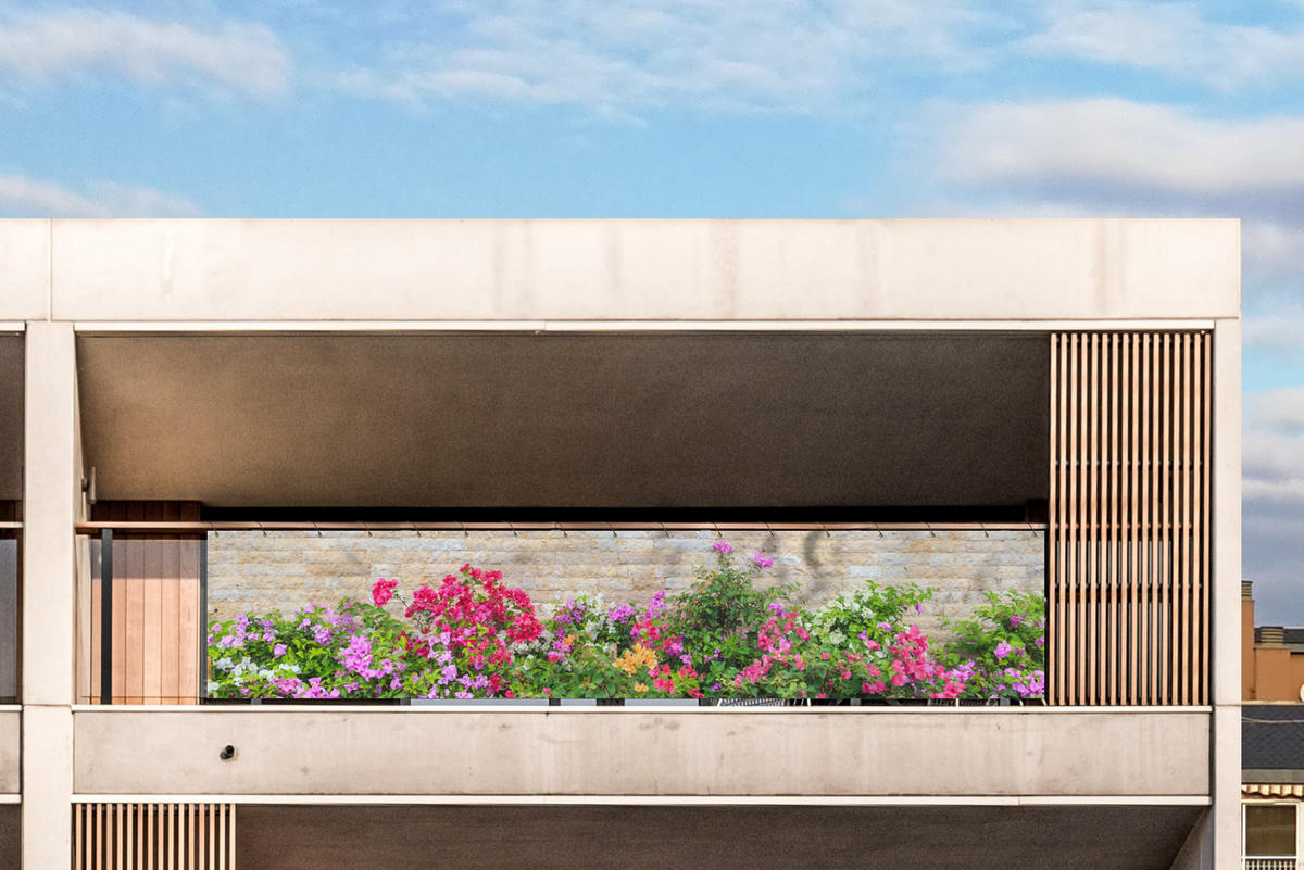 BALKON-SICHTSCHUTZ Blumen - Pflanzen - Blätter - Steine - Pink, Kunststoff (500/100cm) - MuchoWow