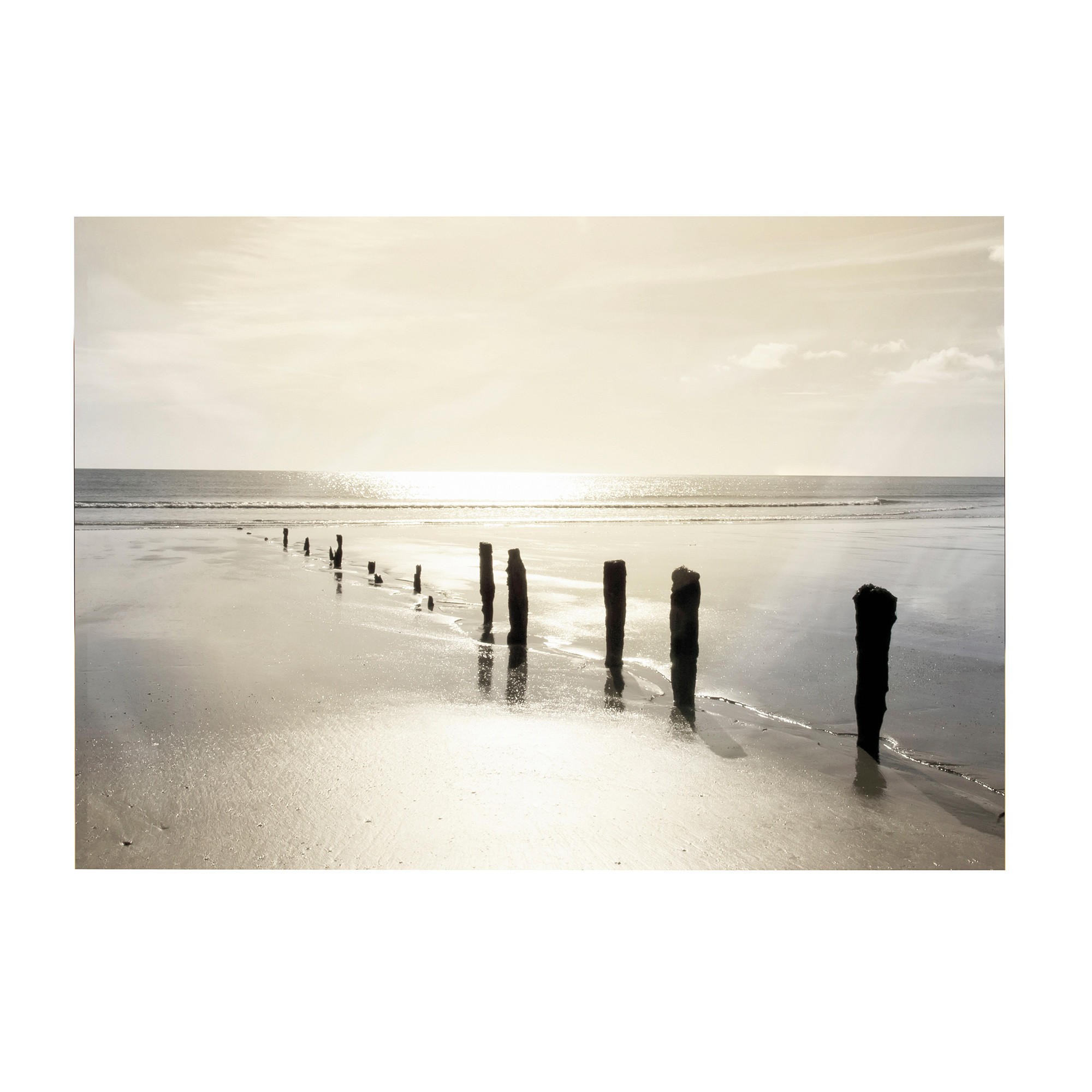 LEINWANDBILD Sonnenuntergang - 50x70cm - Braun/Grau, Textil (70/50cm) - Art for the Home