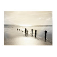LEINWANDBILD Sonnenuntergang - 50x70cm - Braun/Grau, Textil (70/50cm) - Art for the Home